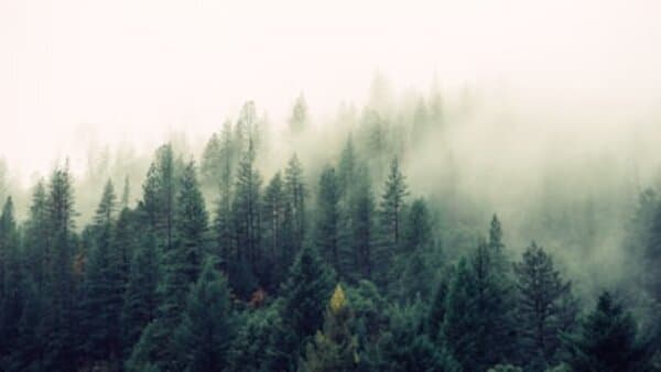 OIDC/JWKS Authentication: Enterprise SSO for Your APIs