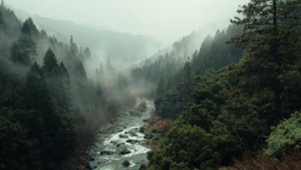 API Security Marketplace: Monetize Your Expertise