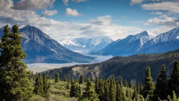 DDoS Protection Strategies for APIs