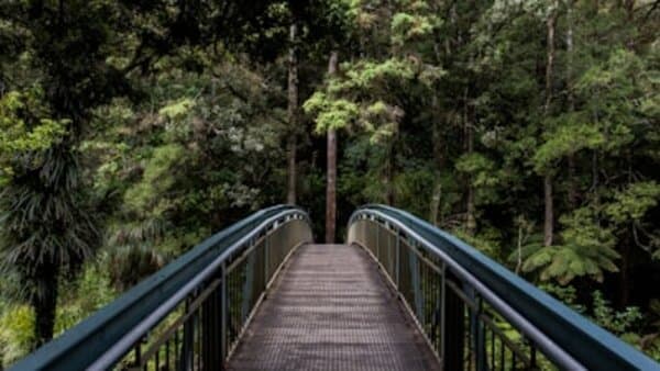 Debug Headers: X-G8KEPR-* Headers for Instant Troubleshooting